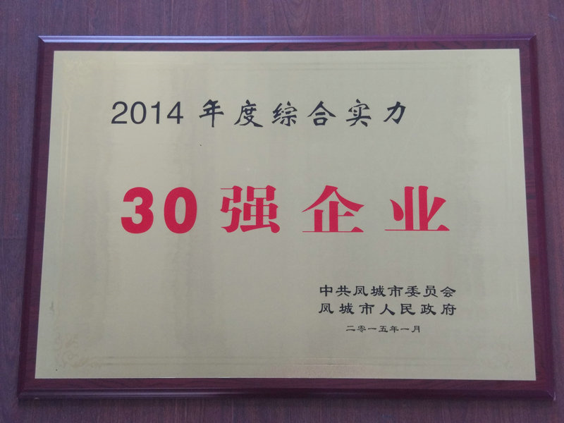 30强企业 2014.jpg