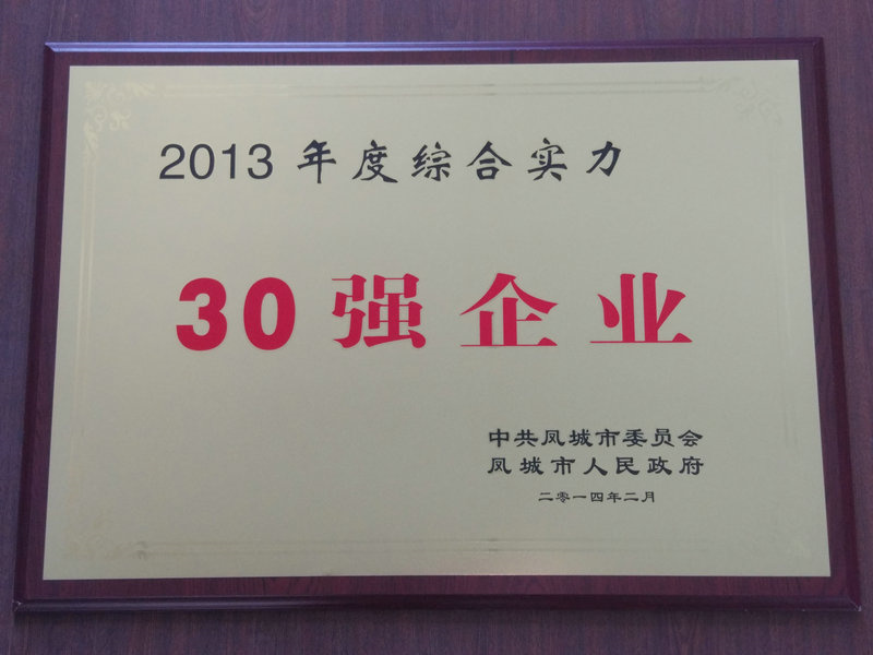 30强企业 2013.jpg