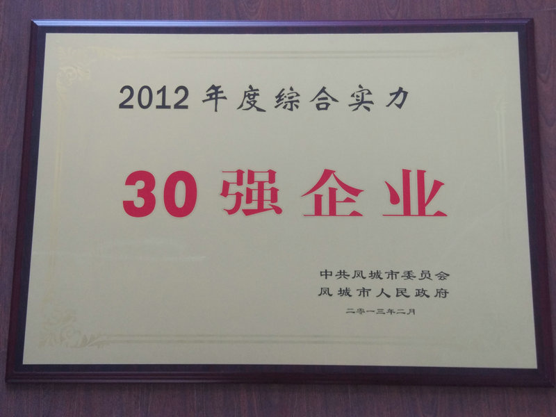 30强企业 2012.jpg