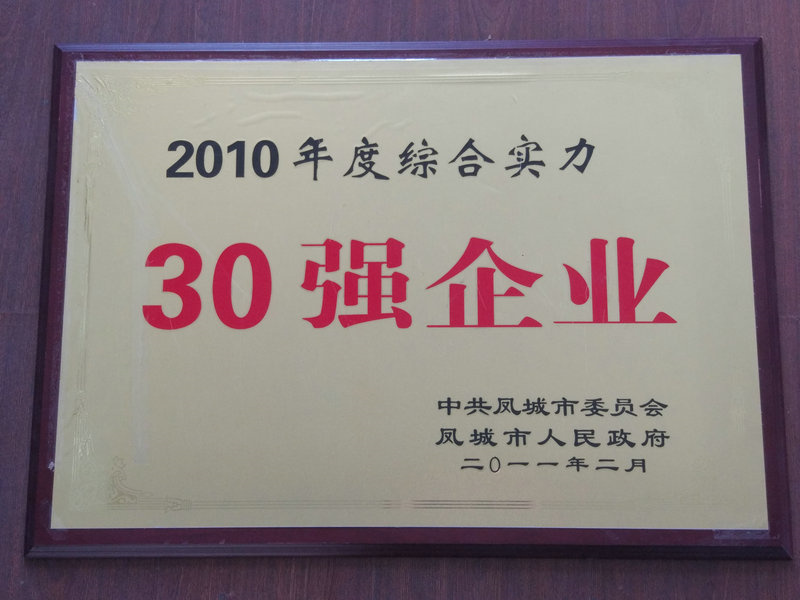30强企业 2010.jpg