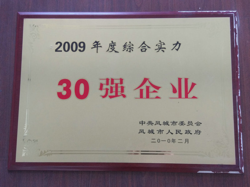 30强企业 2009.jpg