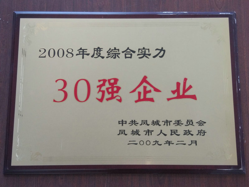 30强企业 2008.jpg